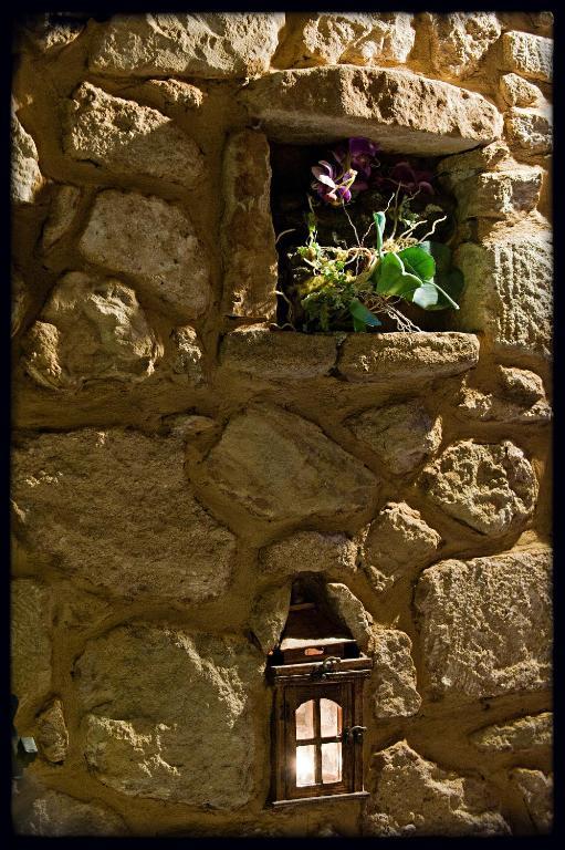 Camelia Suites Synikia Mesi Trikalon 部屋 写真